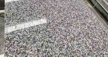 漯河 芙蓉白光面