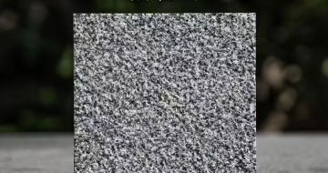 漯河 芝麻黑荔枝面