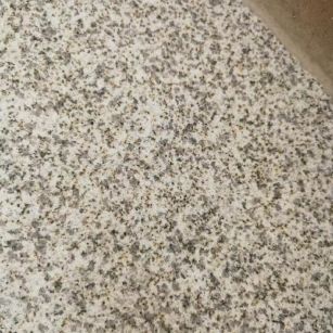 漯河 黄金麻中黄光面