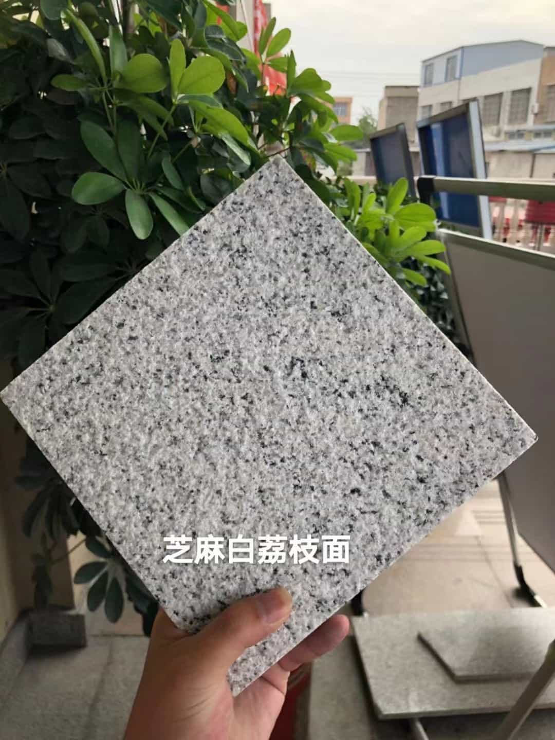 漯河 芝麻白荔枝面干挂