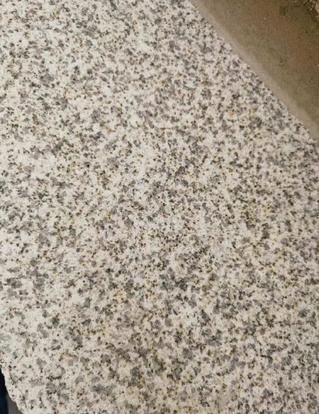 漯河 黄金麻中黄光面