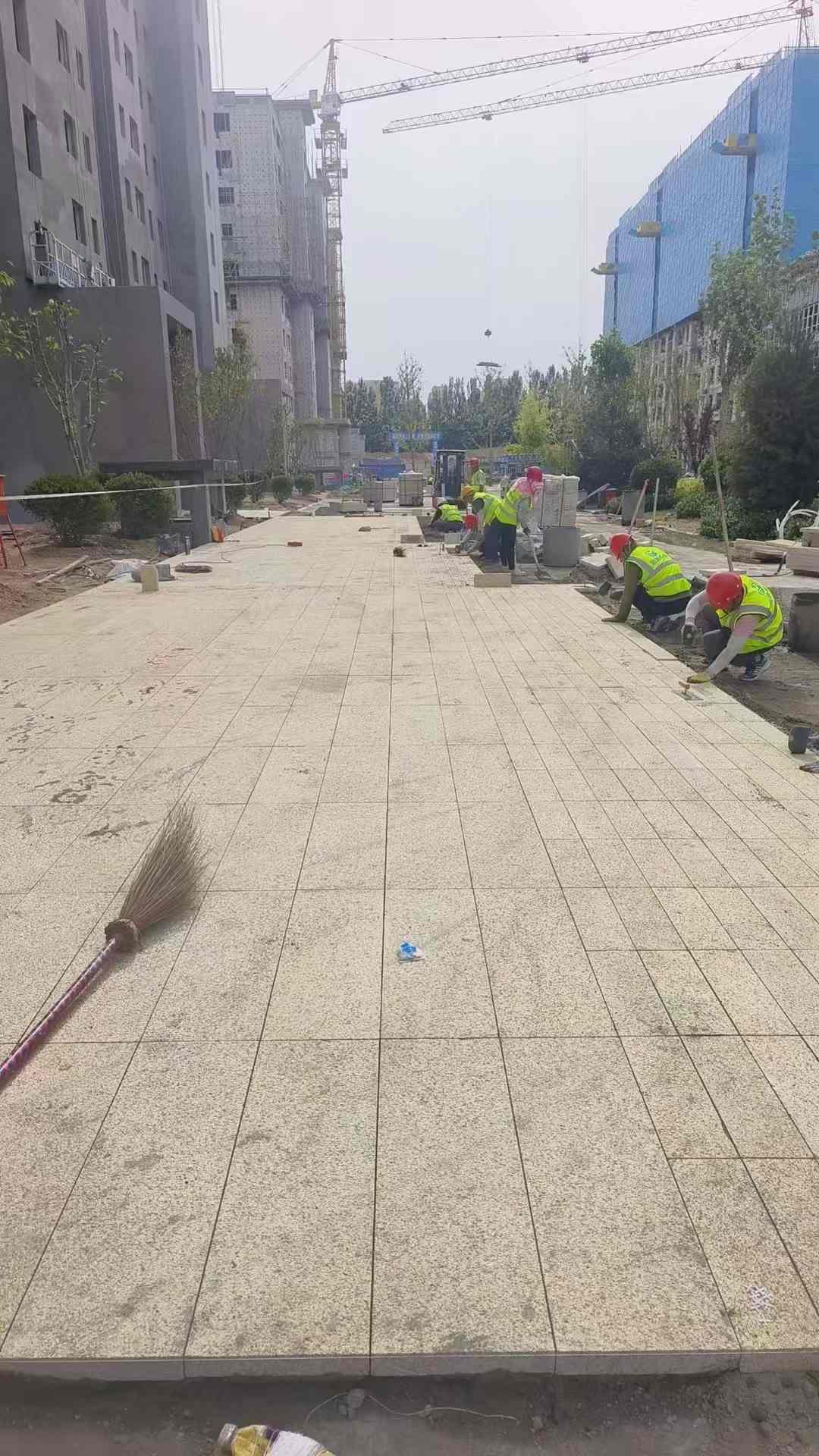 漯河黄金麻荔枝面地铺案例